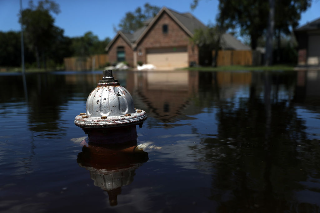 Estas Ciudades De Florida Estarán Bajo El Agua En 2050