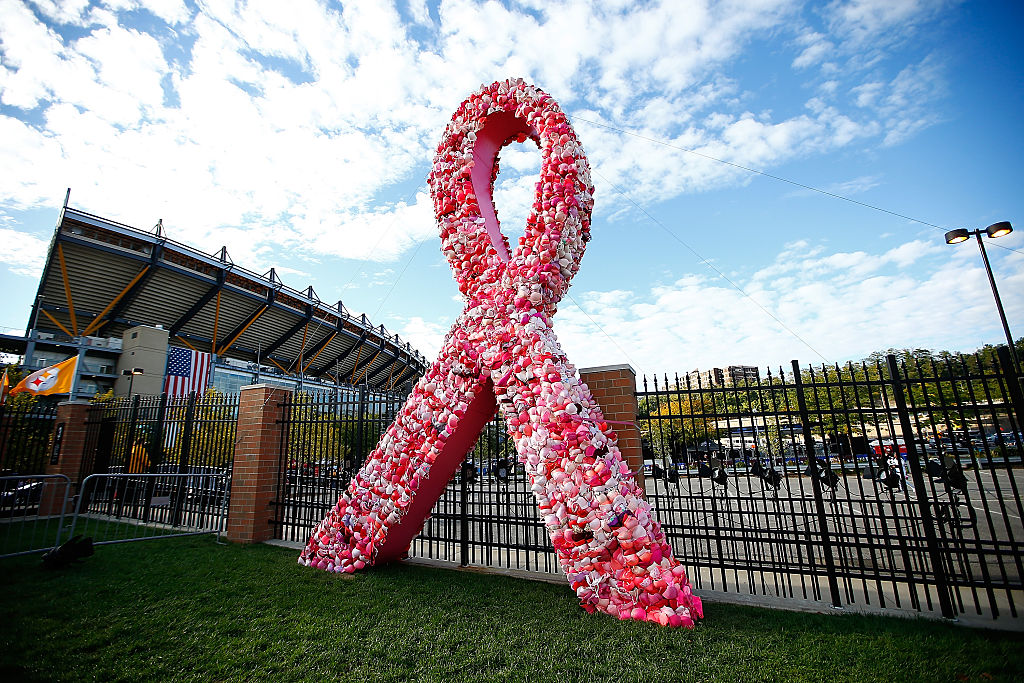 Famosos Sobrevivientes De Cáncer