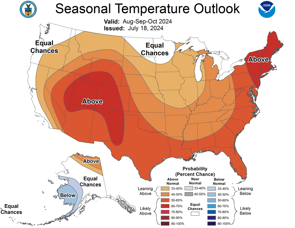 Calor de verano en Florida